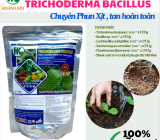 TRICHODERMA HOÀNG KIM – Nguồn gốc rõ ràng, chất lượng vàng cho đất khỏe – cây mạnh