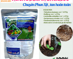 VAI TRÒ TRICHODERMA TRONG NÔNG NGHIỆP